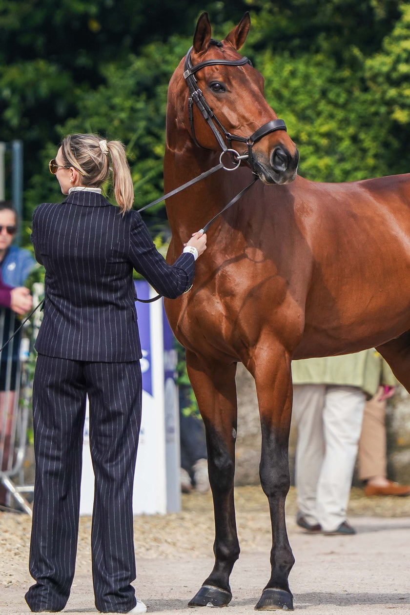 Lauren Innes' Trot Up Look Two