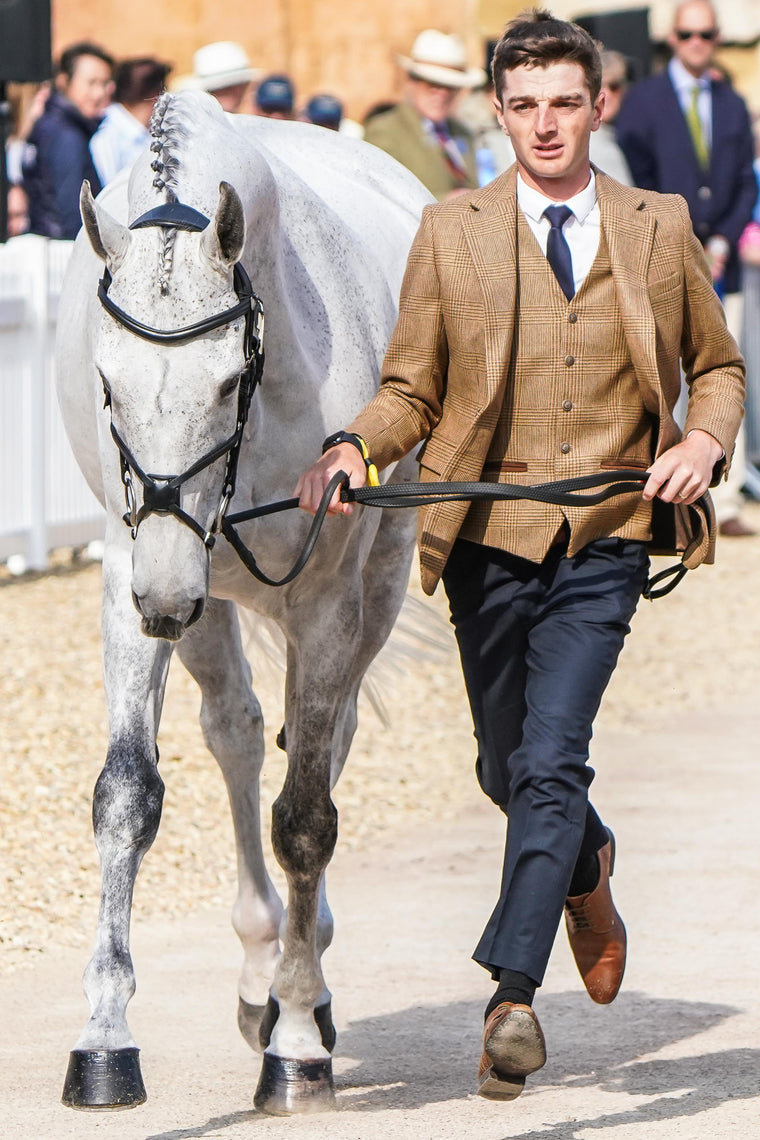 Tom Jackson's Trot Up Look Two